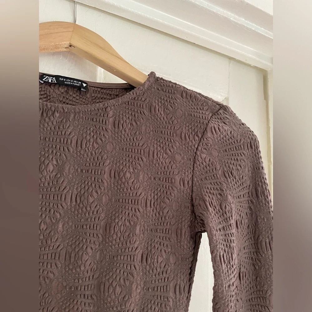 Zara Textured‎ Pointelle Brown Long Sleeve Cropped Top